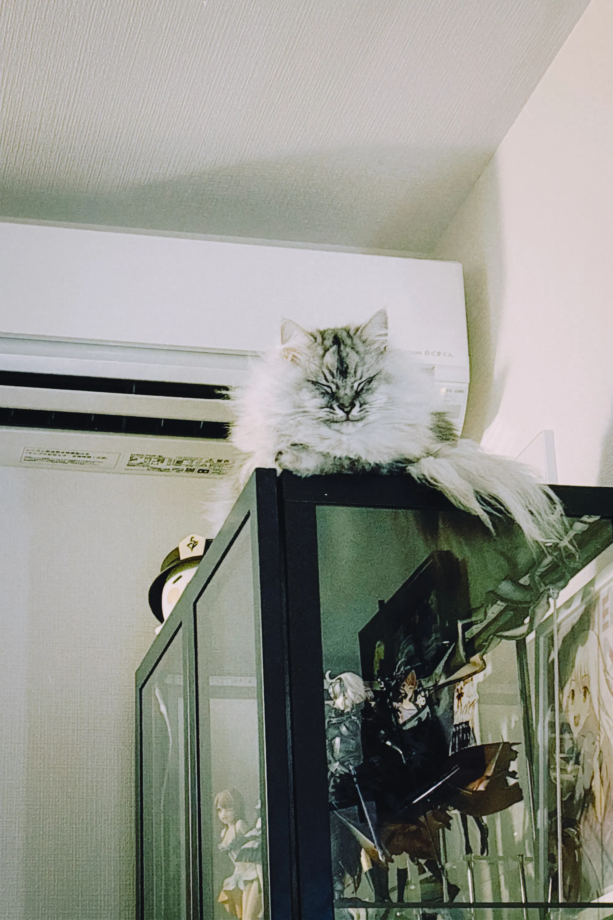 2026 — 01 — 30に撮影したうみの写真
